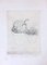 Gravure à l'Eau-Forte Le Piante Grasse par Luigi Bartolini - 1949 1949 1