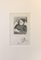 Grand'mère - Portrait de la femme de l'artiste - Litografia originale 1895 1895, Immagine 2