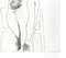 Female Nude - Original Etching by Marino Marini - 1950 1950, Image 4