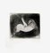 Caballo pequeño grabado en aguafuerte original de Marino Marini - 1950 1950, Imagen 1