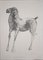 Marino Marini, Horse-1, 1948, Lithograph, Image 1