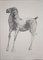 Marino Marini, Horse-1, 1948, Lithographie 1