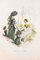 Scabieuse et Souci - Les Fleurs Animées Vol.II - Litho par JJ Grandville - 1847 1847 1