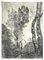 Trees - Original Etching - Late 19th Century Late 19th Century 1
