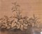 Plants - Original China Ink Drawing by Jan Pieter Verdussen - 1740 1740 1