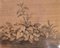 Plants - Original China Ink Drawing by Jan Pieter Verdussen - 1740 1740, Image 1