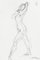 Dibujo de pluma Nude original de S. Goldberg - 1962 1962, Imagen 1