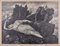 Schlafen Diana - Original Holzschnitt von JJ Weber - 1898 1898 1