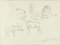 Study of Animals - Original Pencil Drawing by Willy Lorenz - 1940s 1940s 1