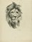 Testa di leone e tigre - Disegno originale a matita di Willy Lorenz - anni '50, Immagine 1