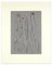 Lithographie Originale de Max Ernst Untitled - '' Les Chiens ont Soif '' - 1964 1964 2