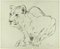 Crouched Lioness and Rabbits - Original Pencil Drawing by Willy Lorenz - 1971 1971 1