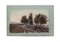 Landscape - Disegno originale in pastello su carta verdastra - XX secolo, Immagine 1