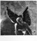 Les Fleurs du Mal – Interprétations par Odilon Redon 1923, Image 2