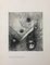 Les Fleurs du Mal - Odilon Redon - Illustration - Moderne 1890 6