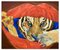 Tiger - Öl auf Leinwand von Anastasia Kurakina - 2000er 2000er 1
