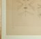 Gravure à l'Eau-Forte Codex d'un Visage par Victor Brauner - 1962 1962 4