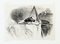 Pigeon - Litografia originale di Karl Bodmer - Fine XIX secolo, Immagine 1