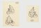 Biker - Dibujo original de tinta de Maurice Berdon - Mid-Century Mid-Century, siglo XX, Imagen 1