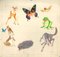 Le Avventure di Cerbiattino - Conte Original Illustré par Sandro Nardini - 1940s 1940s 1