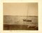 Stampa Chefoo, Harbour of Junks - Ancient Albumen, 1880/1900 1880/1890, Immagine 1