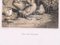 A Little Duckling - Original Lithograph - Late 19th Century Late 20th Century 3