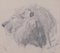 Cabeza de león - Original Pencil Drawing de Etha Richter - años 30, Imagen 1
