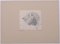 Testa di leone - Disegno originale a matita di Etha Richter - anni '30s, Immagine 2