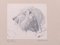 Head of Lion - Original Pencil Drawing by Etha Richter - 1930s 1930s, Image 3