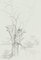 Stampa Winter Tree - Original Pencil di French Master, metà XX secolo, metà XX secolo, Immagine 1
