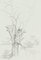 Winter Tree - Original Pencil Drawing by French Master mid 20th Century Mid 20th Century 1