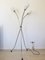 Czechoslovakian Floor Lamp from Lidokov, 1960s 8