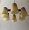 Ceiling Lamp with 6 Handmade Opaline Glass Shades from Lidokov, 1950s 2