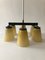 Ceiling Lamp with 6 Handmade Opaline Glass Shades from Lidokov, 1950s 5