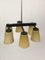 Ceiling Lamp with 6 Handmade Opaline Glass Shades from Lidokov, 1950s 4