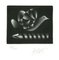 Pigeon - Original Etching on Paper de Mario Avati - 20th century Signs, Imagen 1