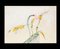 Carnivorous Plants - Original Pen and Watercolor by Sergio Barletta - 1975 1975 1