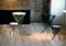 Small Black Plant Table by Kranen/Gille, Image 2