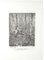 Beeches Etching on Paper by Augusto Sezanne, Image 1