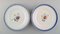 Antique Royal Copenhagen Plates in Hand-Painted Porcelain with Flowers, Set of 5 2