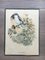 Birds Engraving, 1950s, Set of 5 6