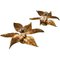 Brass Flower Ceiling or Wall Lights in the Style of Willy Daro, 1970s, Set of 3, Image 5