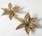 Brass Flower Ceiling or Wall Lights in the Style of Willy Daro, 1970s, Set of 3 3