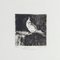 Papagei - Original Radierung auf Papier von Valerio Cugia - 1995 1995 1