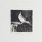 Parrot - Original Etching on Paper by Valerio Cugia - 1995 1995 1