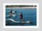 Surfing Brothers Oversize C Print Framed in White by Slim Aarons 2