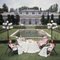 The Romanones Oversize C Print Framed in White by Slim Aarons 1