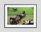 The Tippetts Oversize C Print Framed in Black by Slim Aarons, Imagen 2