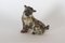 Vintage Danish Terrier Figurine by Knud Kyhn for Royal Copenhagen 1955 2