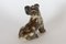 Dänische Vintage Terrier Figur von Knud Kyhn für Royal Copenhagen 1955 6